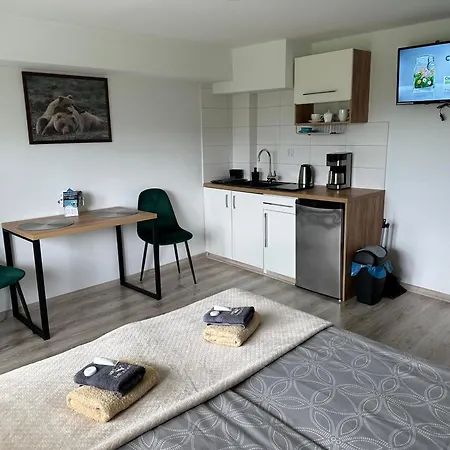 Zamkowe Zacisze בית אירוח